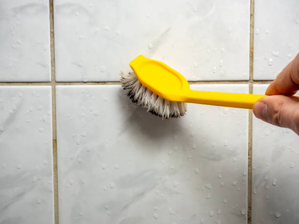 Best Residential Mold Removal  in Bayshore, NC